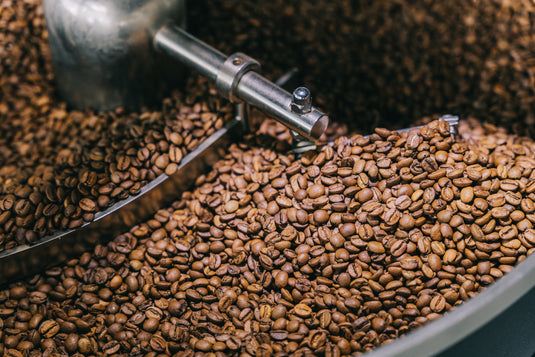 VERS GEBRANDE KOFFIEBONEN