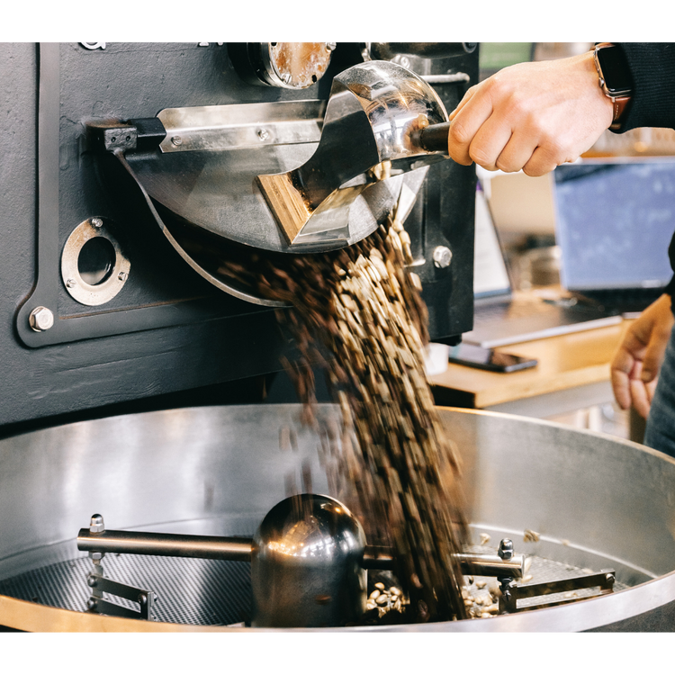 Proefpakket: Roaster's Choice